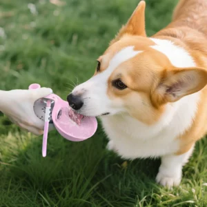 Huellita Boreal | Botella 2 en 1 para Paseos con tu Mascota