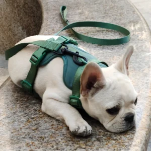 Arnés AirComfort Ajustable para Perros